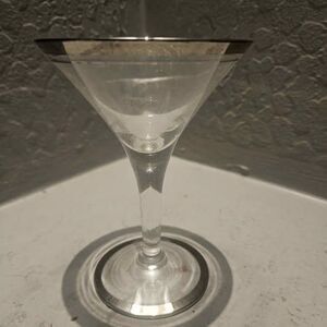 Dorothy Thorpe Silver Rim Martini Glass 5" x 3"
